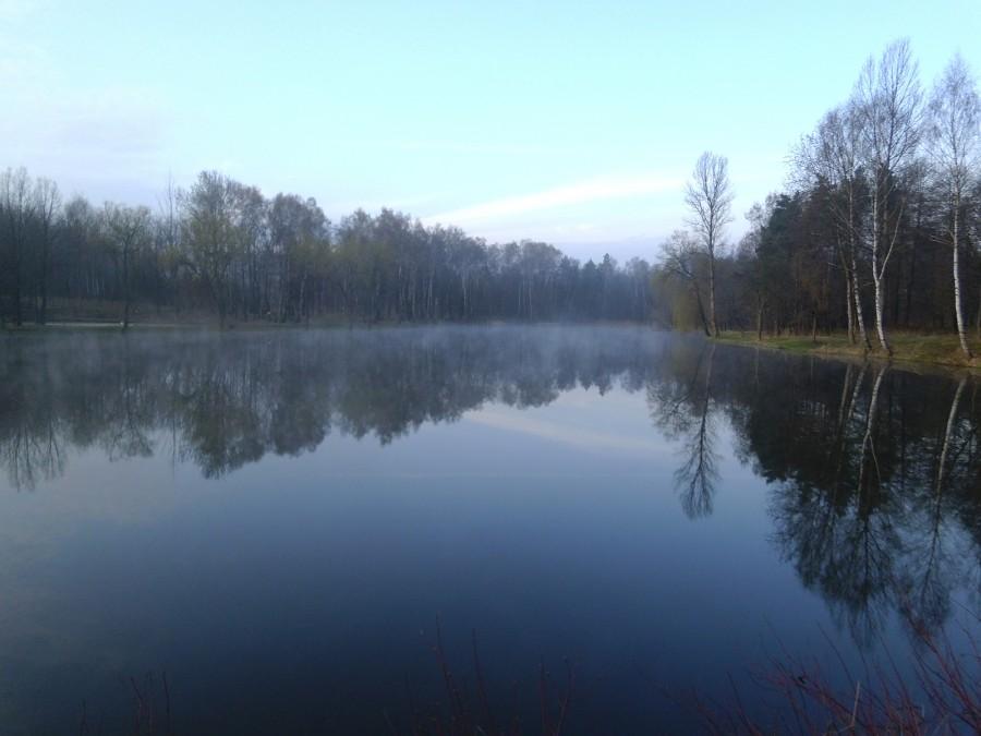 Giszowiec: Staw Janina