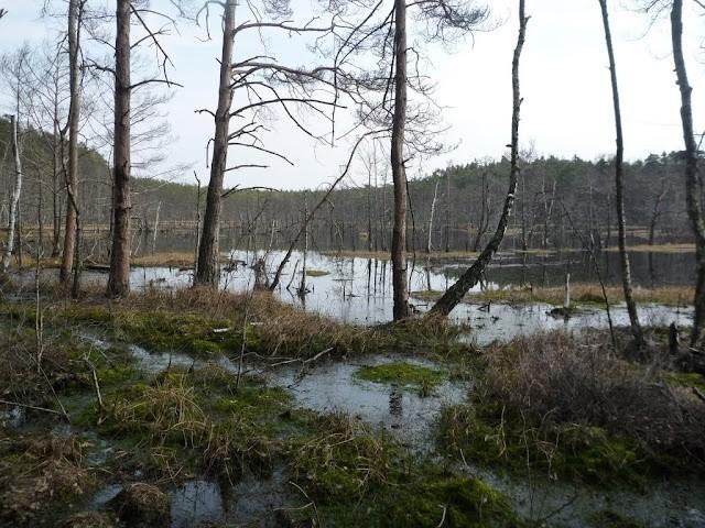 Mówiłem, że ładnie, to ładnie. Oto poszlaka.
