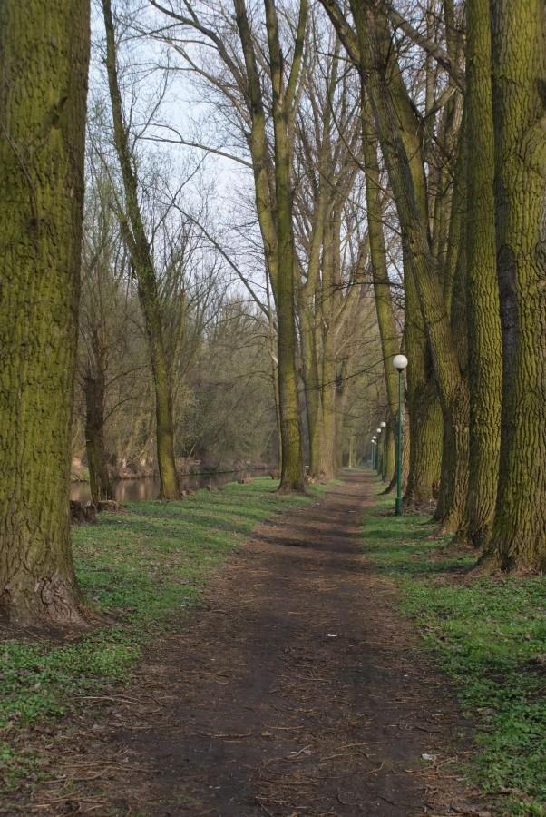 Park Bulwary