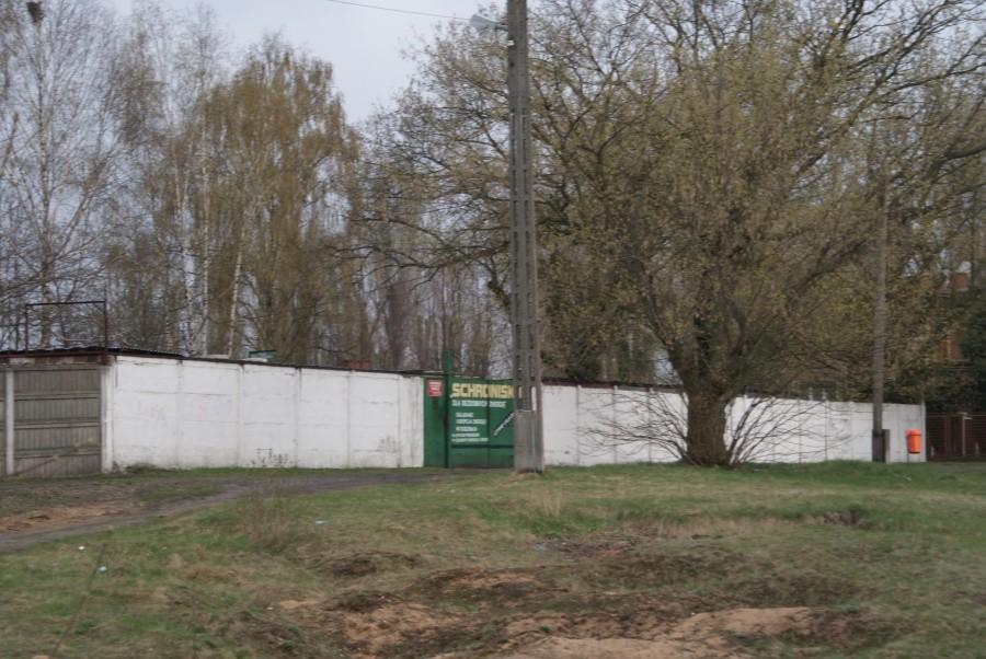 na wysokości schroniska moja wycieczka nad Wolbórką się kończy