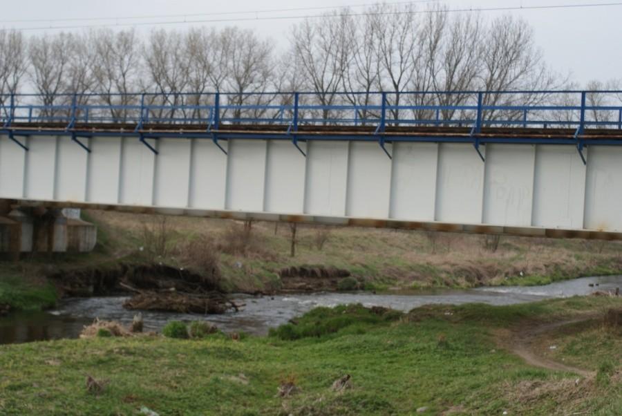 most kolejowy na Wolbórce