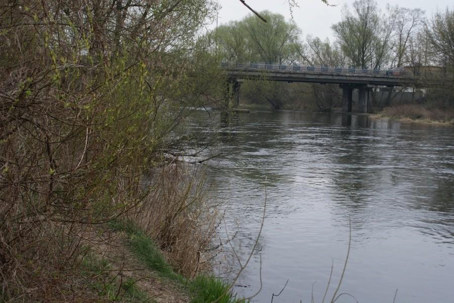 kolejny most nad Pilicą