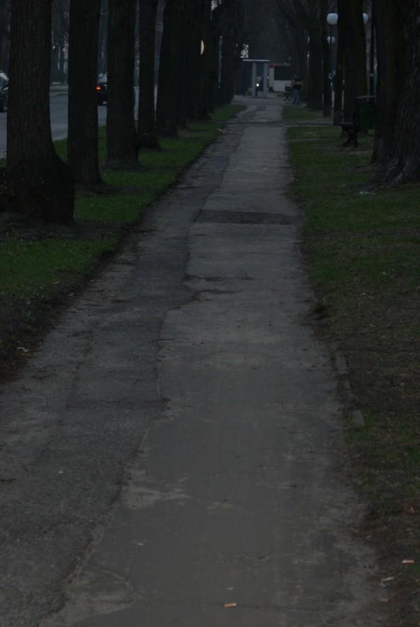 ścieżka na ul. sw. Antoniego, bliżej centrum - tutaj można dostać zawału, albo przegryźć sobie język, o zgrozo...