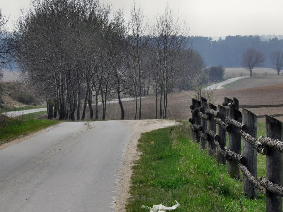 Malownicza, pokręcona, falista droga polami do Ladenthin.