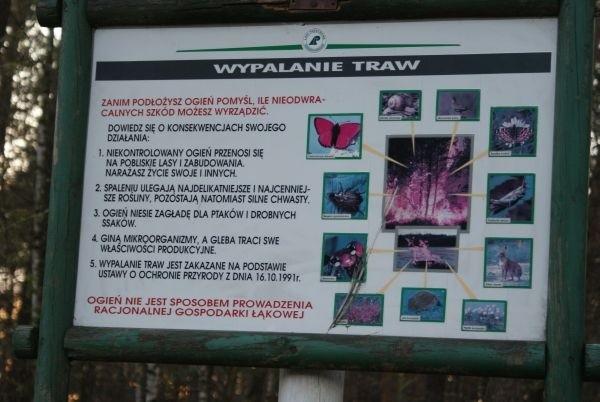 Nie wypalaj traw