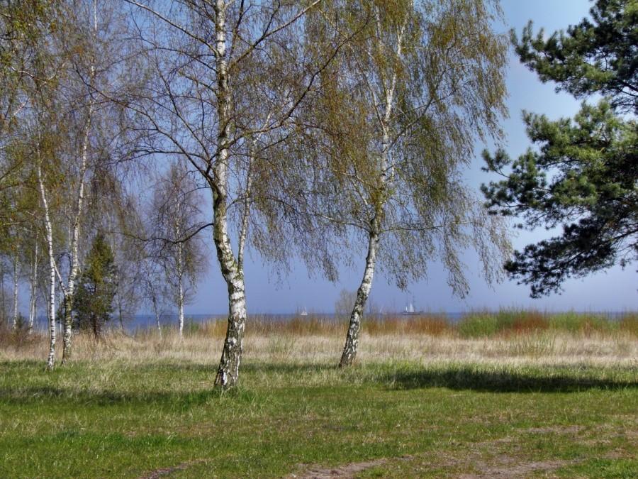 Nie mogłem się oprzeć, by nie utrwalić tego obrazka.