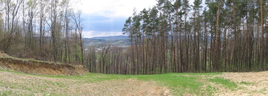 Ośla łączka