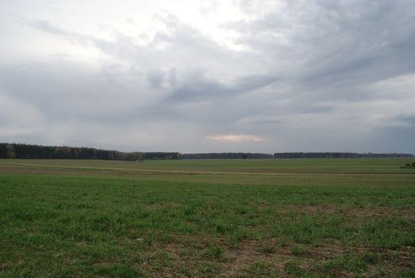 widoczek