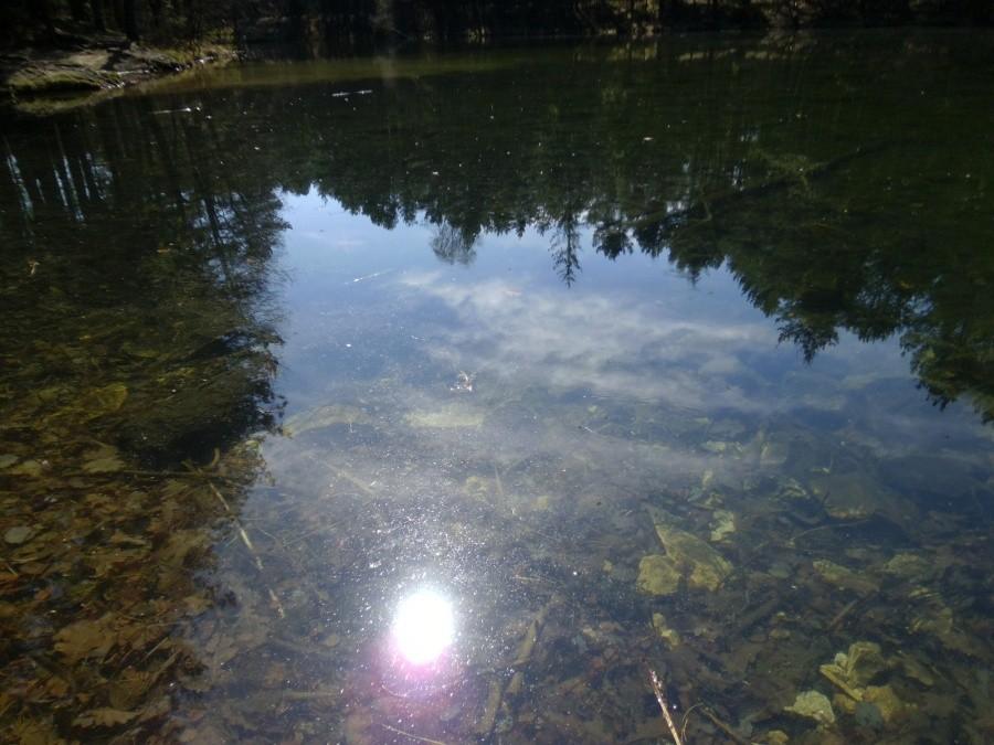 Ciężkowice: Dolina Żabnika. Lustro wody