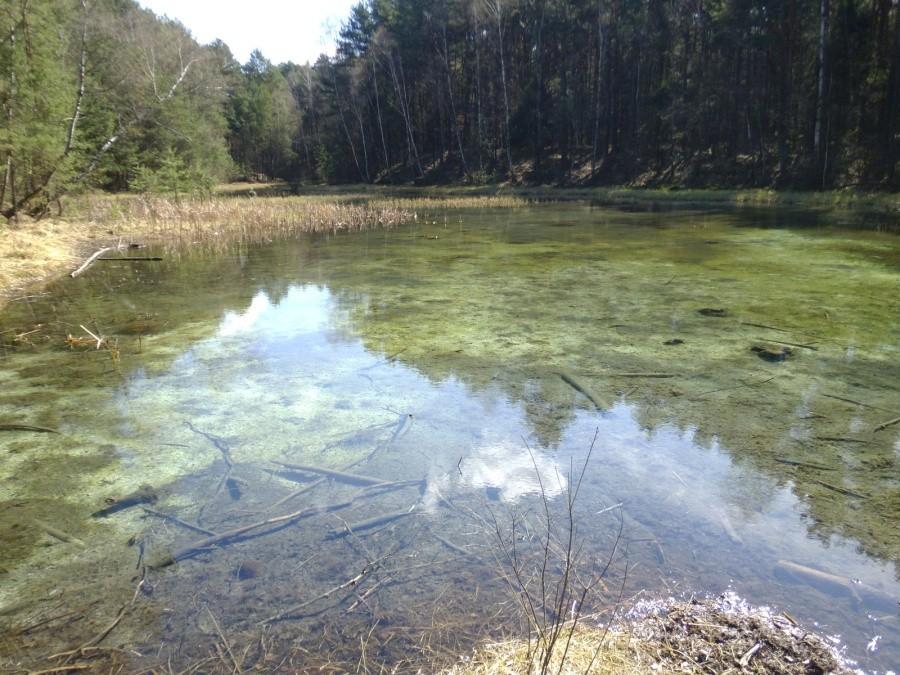 Ciężkowice: Dolina Żabnika. Objazd terenów.
