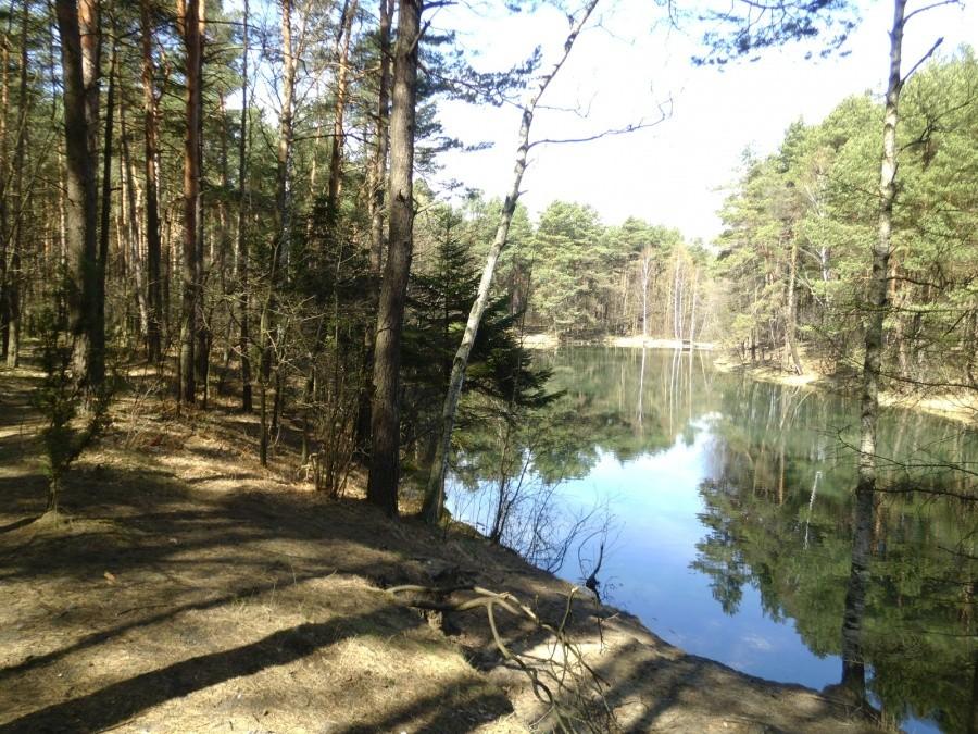Ciężkowice: Dolina Żabnika. Widok od drugiej strony