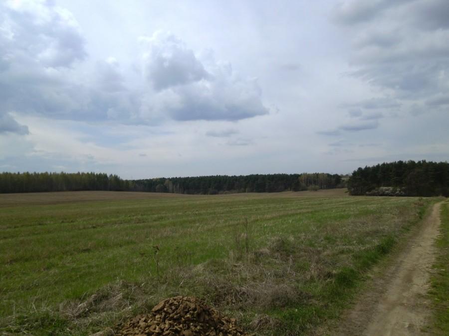 Okolice Cezarówki