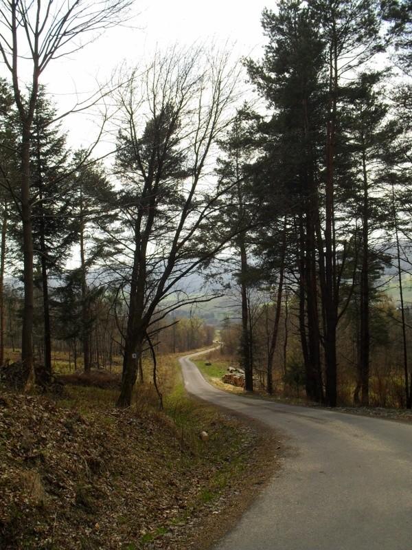 Zjazd w stronę Hańczowej