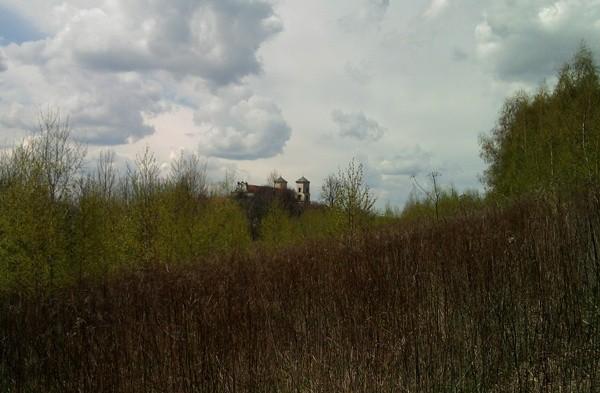 Klasztor w z krzaczej perspektywy
