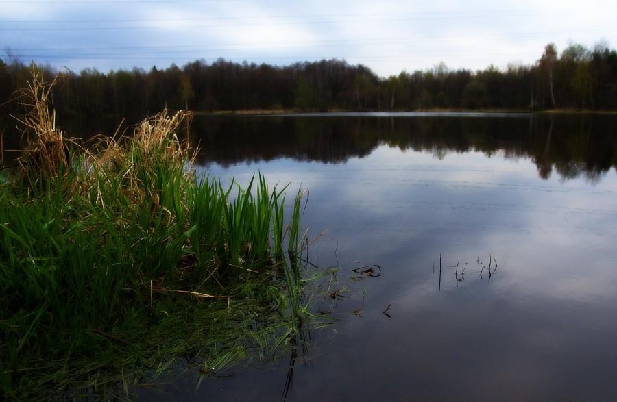 Starganiec pod Mikołowem