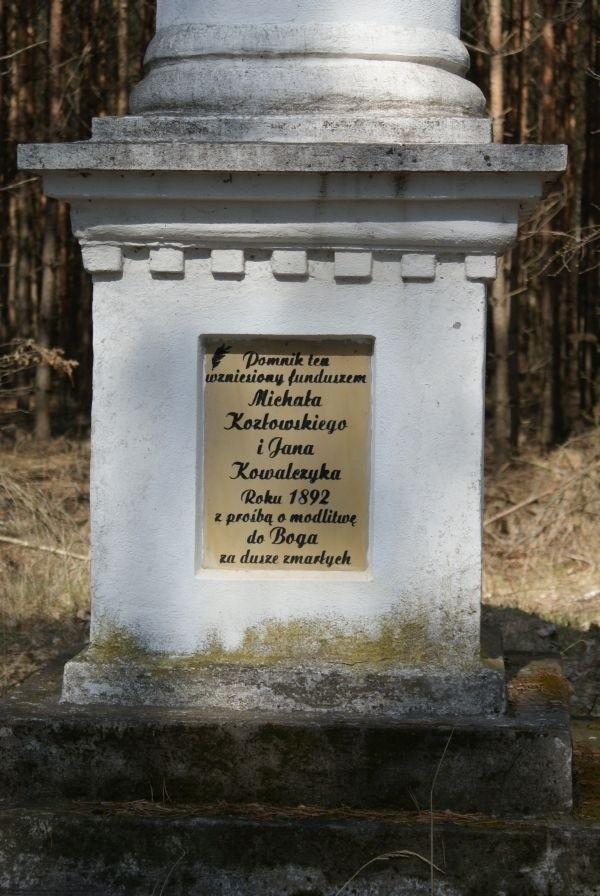 przybliżenie