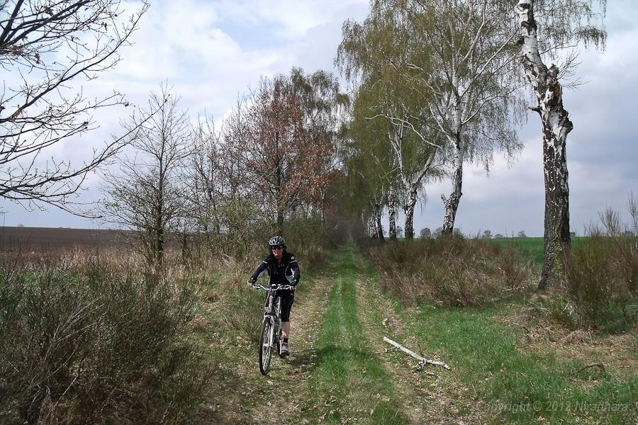 wybraliśmy teren