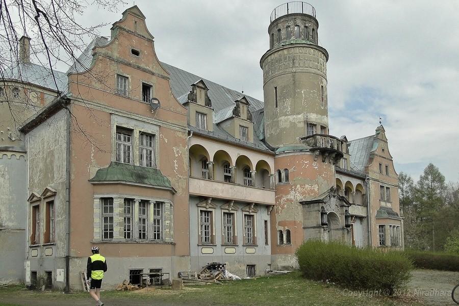 pałac w Roszkowicach