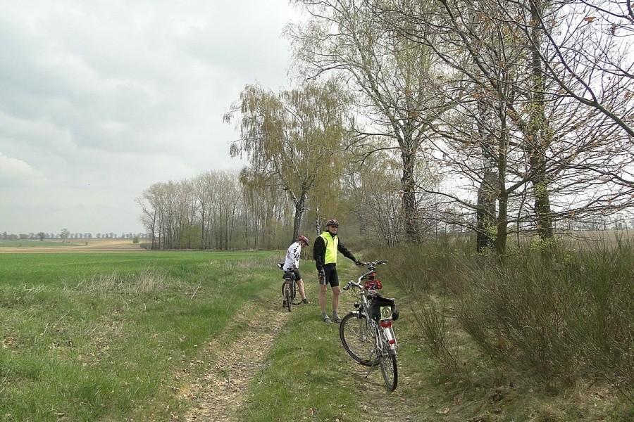Znów jedziemy polami