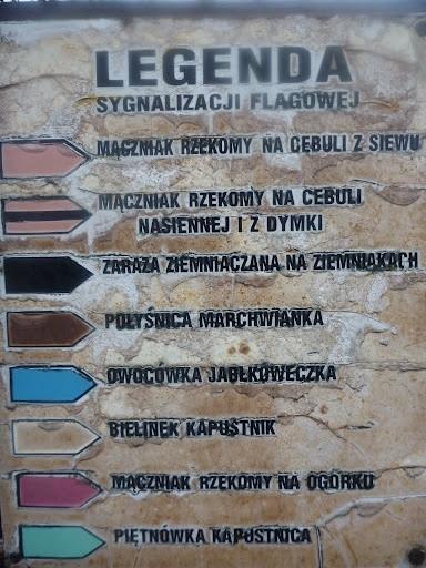 Legenda sygnalizacji flagowej
