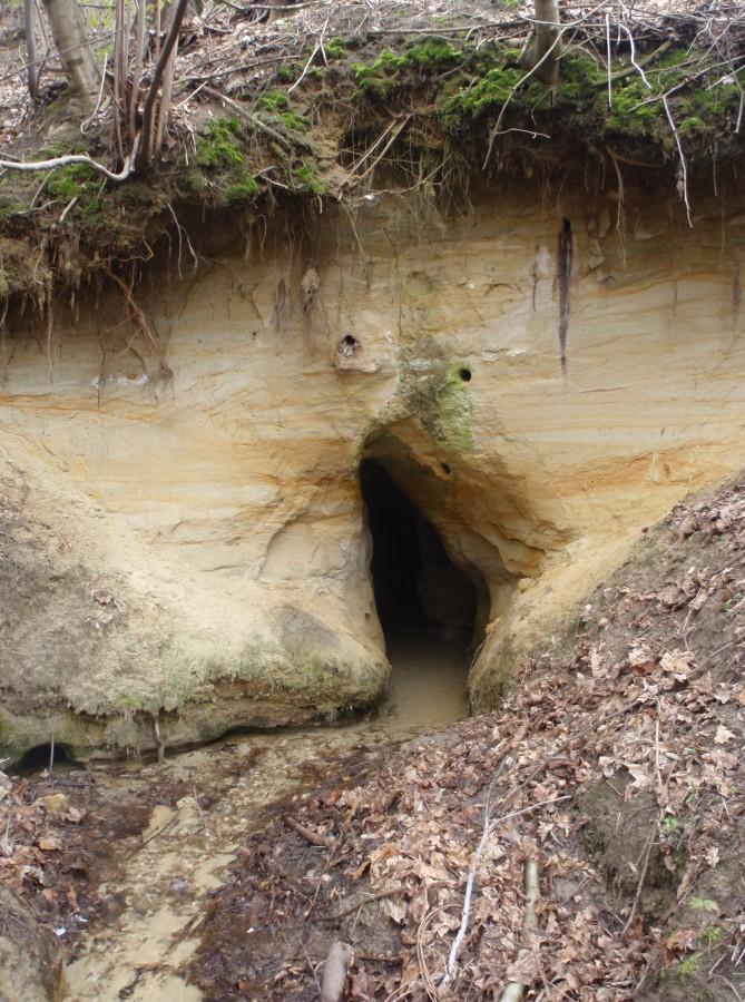 Jaskinia Szczelina - Źródło