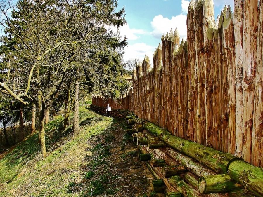 Drewniana palisada okalająca grodzisko.