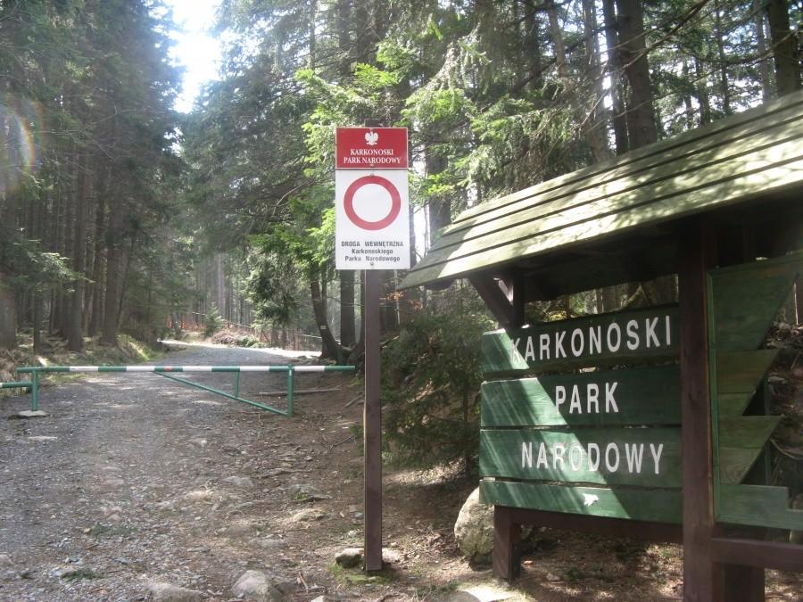 Szlak na Śnieżkę...