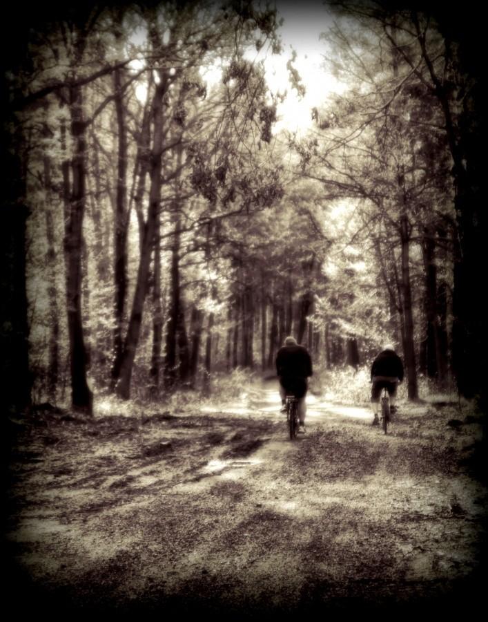 las pełen bikerów