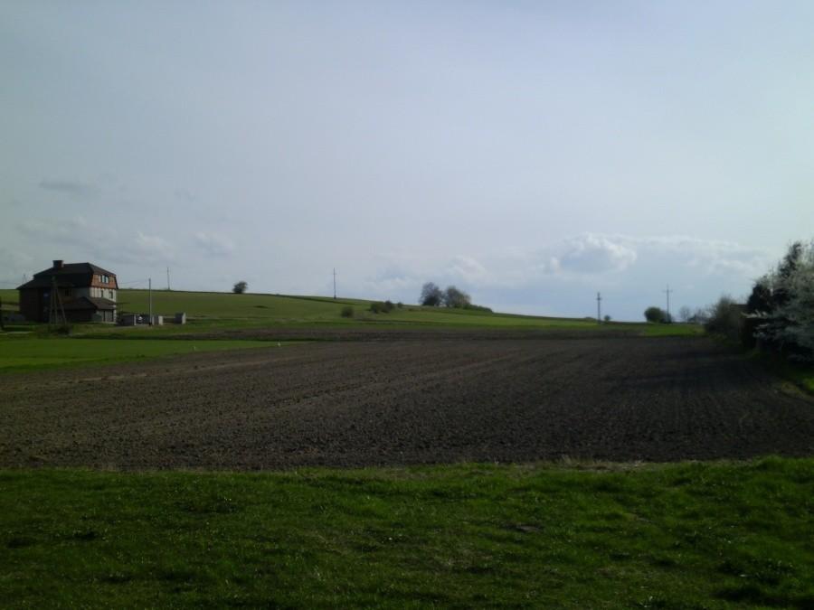 Zamoście: Widok na okolice