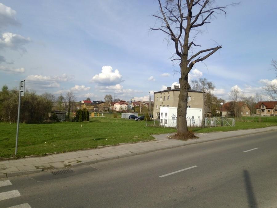 Zamoście: Widok na okolice