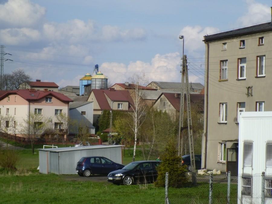 Zamoście: Widok na okolice