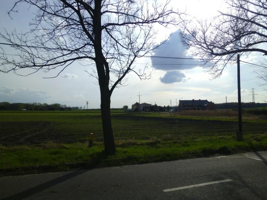 Zamoście: Widok na okolice
