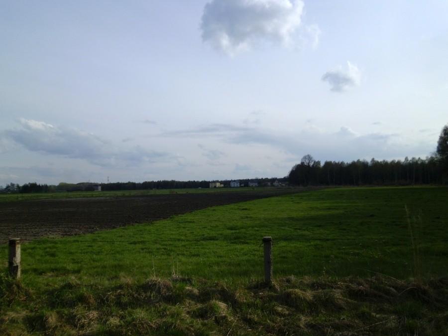 Zamoście: Widok na okolice