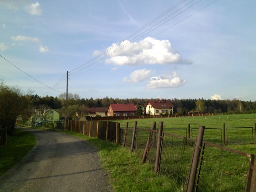 Zamoście: Widok na okolice
