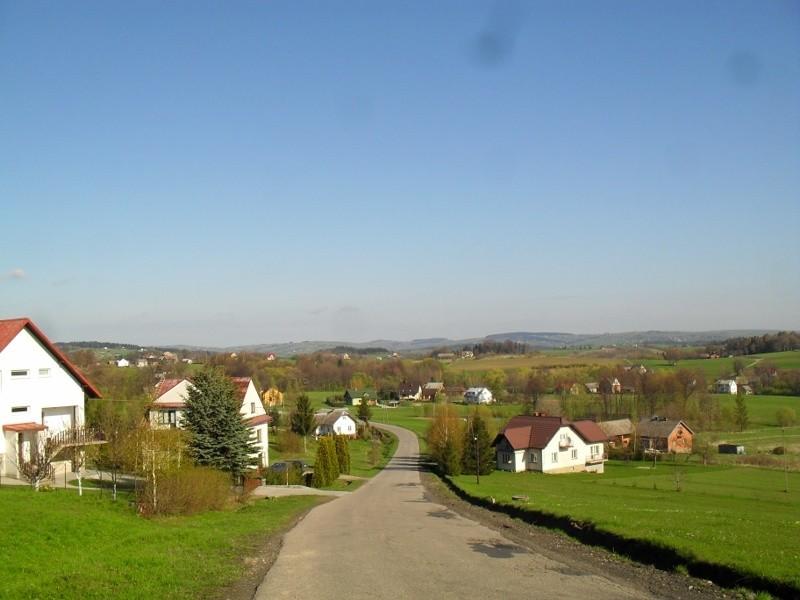 Widoczki