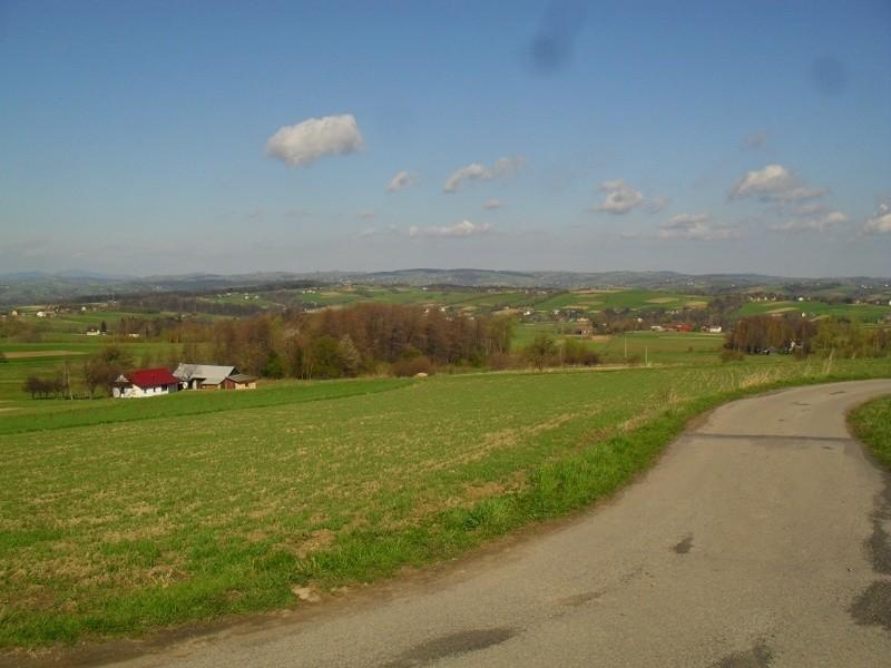 Widoczki