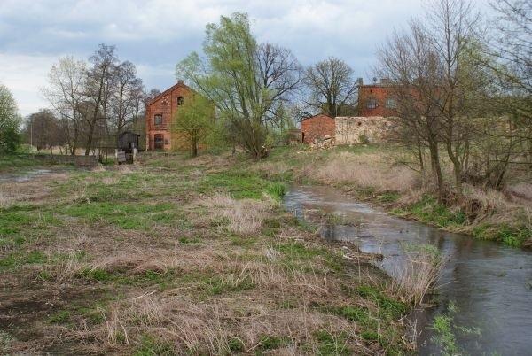 stary młyn