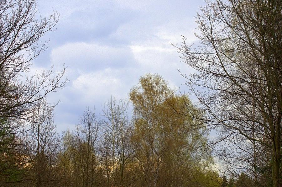 Niebo zaciągnęlo się chmurami
