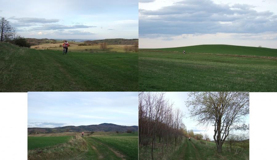 Zazieleniło się dookoła aż miło jeszcze żeby trochę cieplej było.