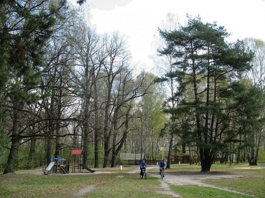 Park Kultury w Powsinie