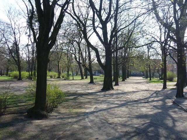 Straszny Park przy ul. Czarna Droga