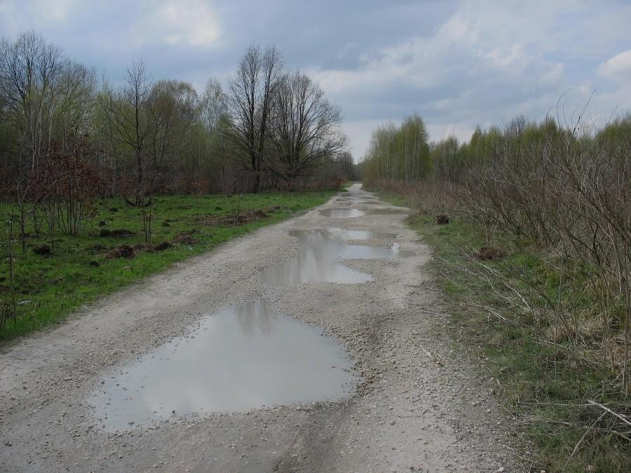 Biała droga - ul. Muchomora