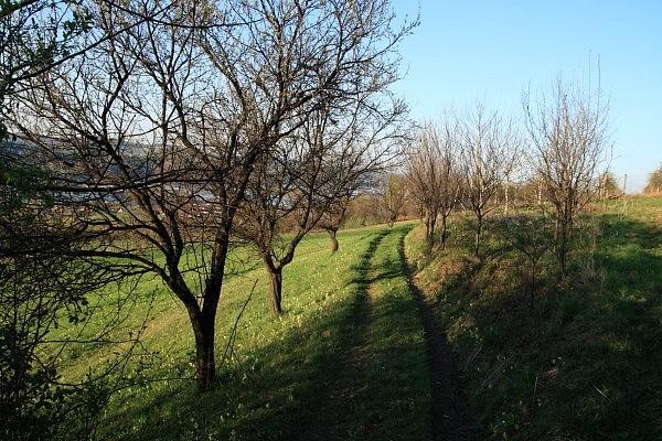 Zbocza Białowodzkiej Góry