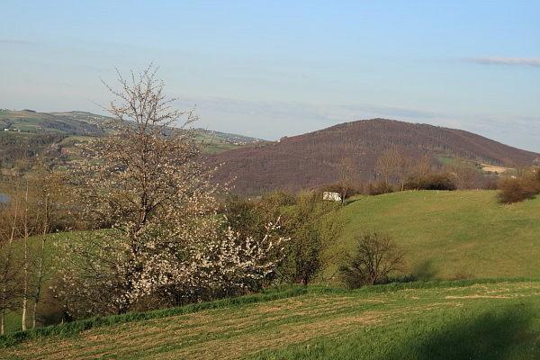 Dąbrowska Góra