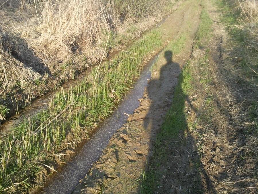MTB hardcore terrain dla masterów