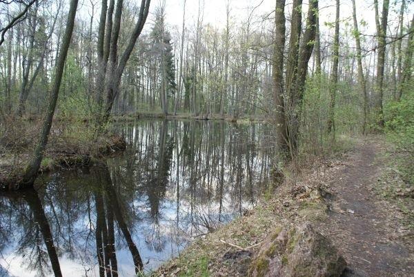 Niebieskie Źródła z innej strony