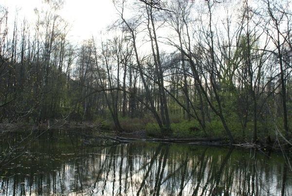 Niebieskie Źródła z innej strony 1