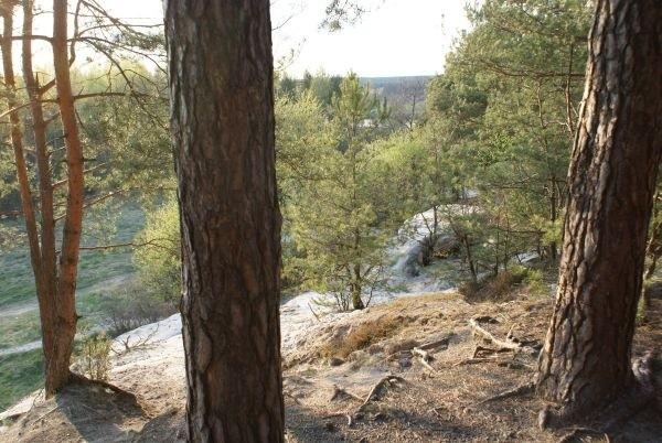 Widok z wysoka