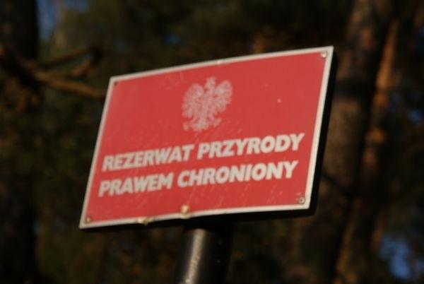 Rezerwat Przyrody