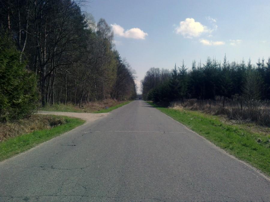 Między Łosiem, a Piskórką